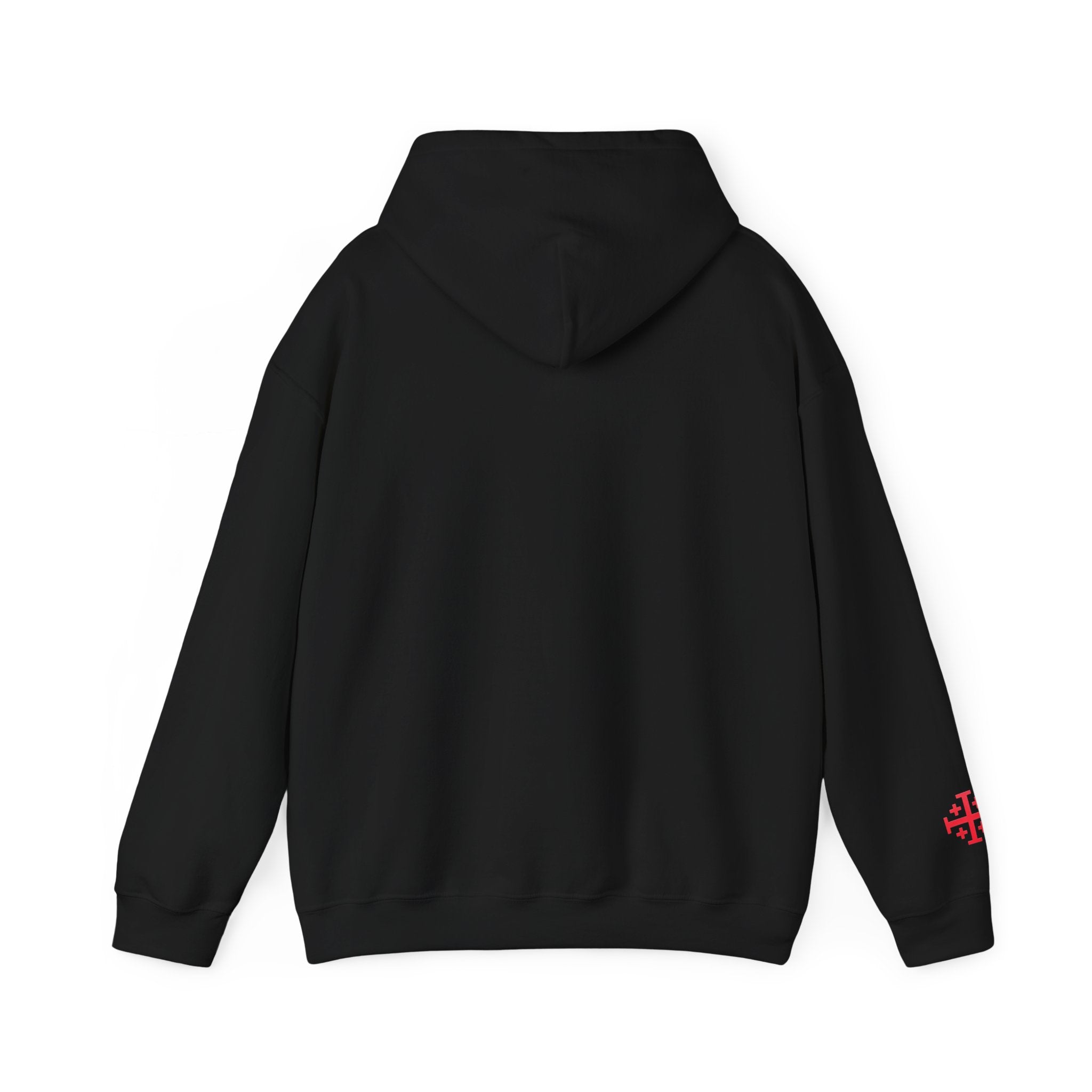 Defend The Innocent. Destroy The Wicked. Hoodie